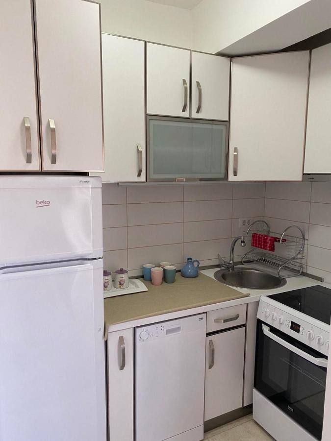 Apartman Bojanic Podgoriţa Exterior foto
